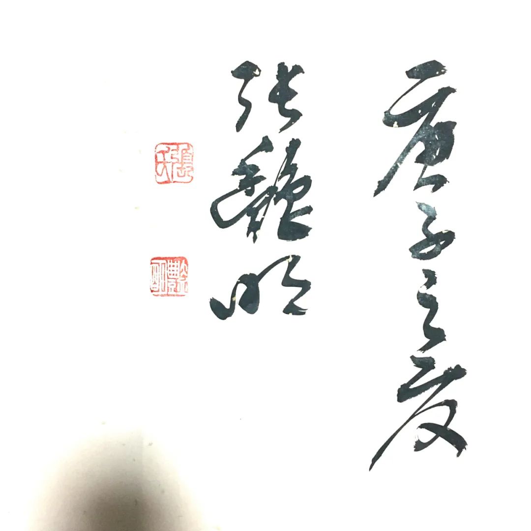 鷨ʦûдիţлʦ