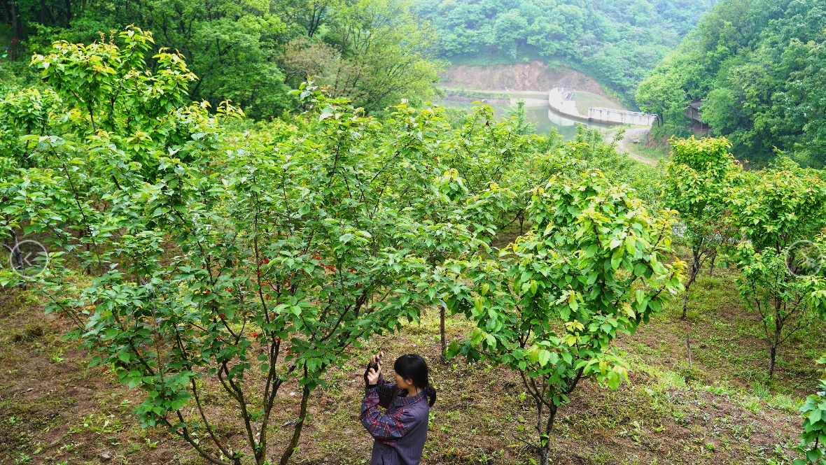 ˫壺ԡӣΪý δ˴ׯ