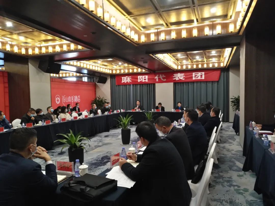 【图片新闻】市五届人大五次会议各代表团举行分组讨论