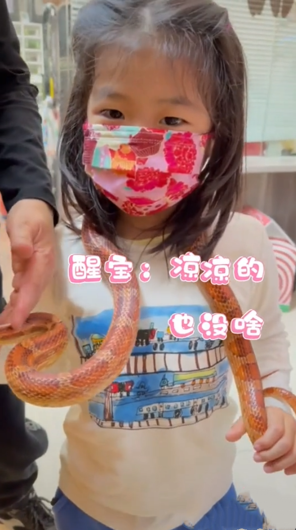 服！ 章子怡5歲女兒接觸冷血動物，醒醒徒手抓蛇摸蜥蜴超淡定