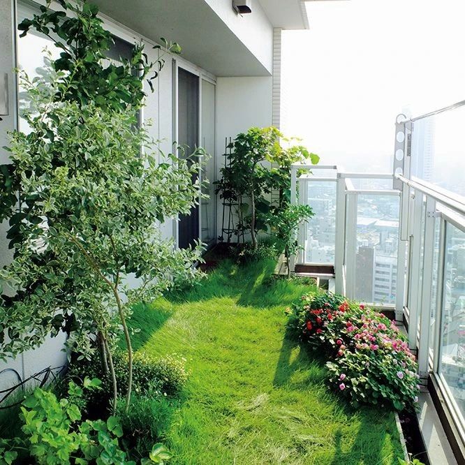 阳台绿化设计实景图图片