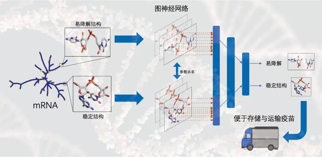 图神经网络世界冠军团队手把手授课，7天搞定图神经网络