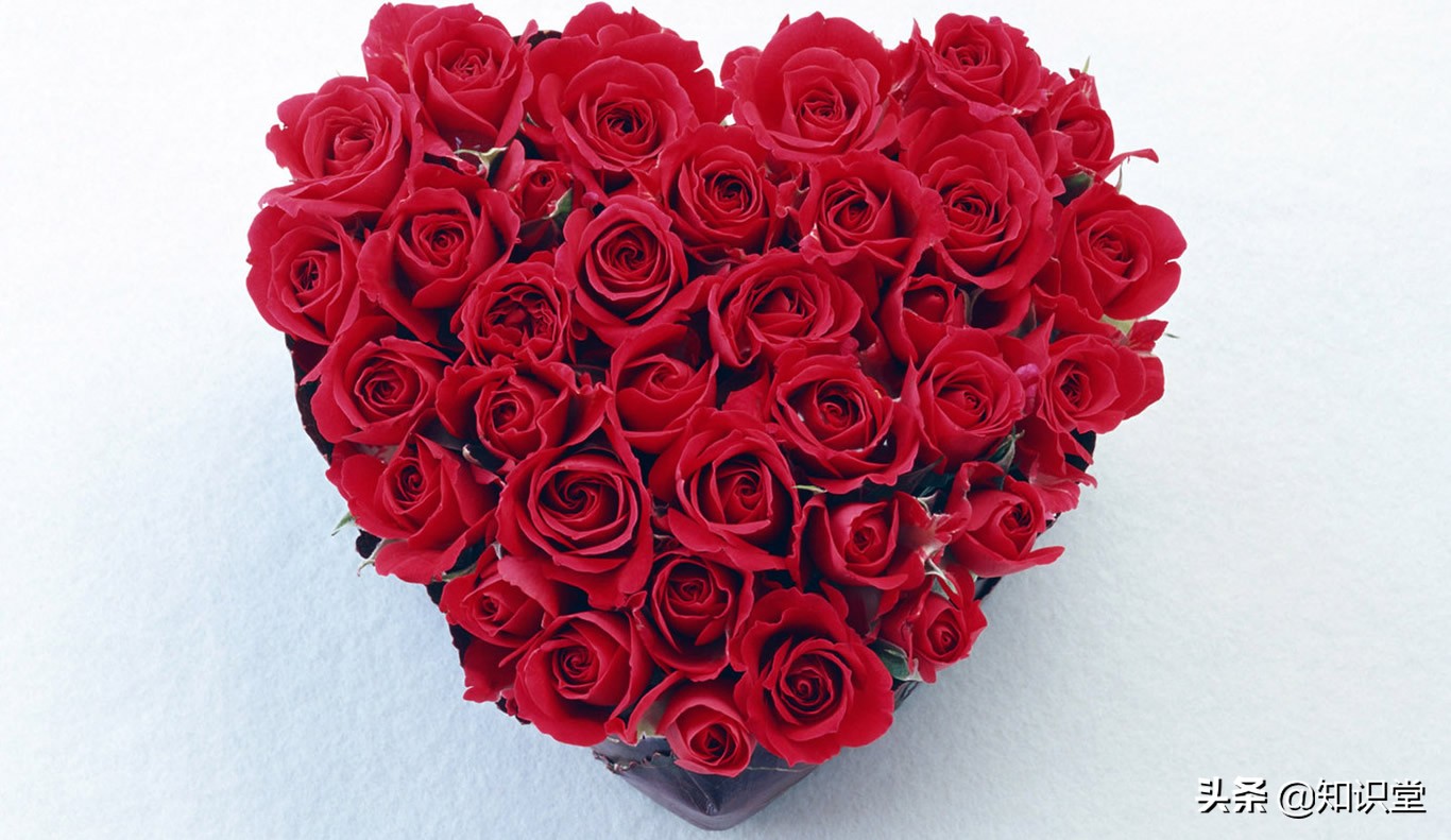 祝福语|七夕节微信祝福语大全，七夕情人节浪漫情话精选