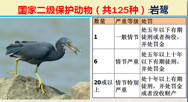 国家最新125类二级野生保护名录，图片及违法对应刑责