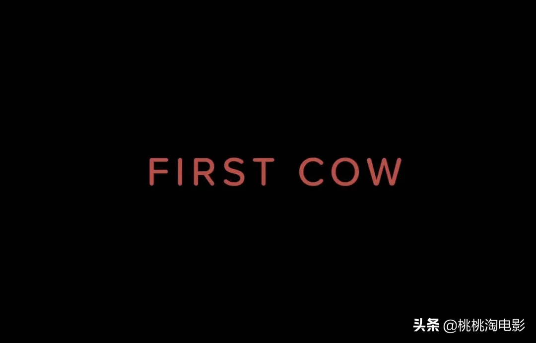今年最爱的片子来了,这才是电影啊