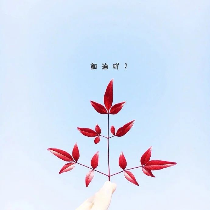 晚安心语暖心话语：心里藏着小星星，生活才能过得亮晶晶