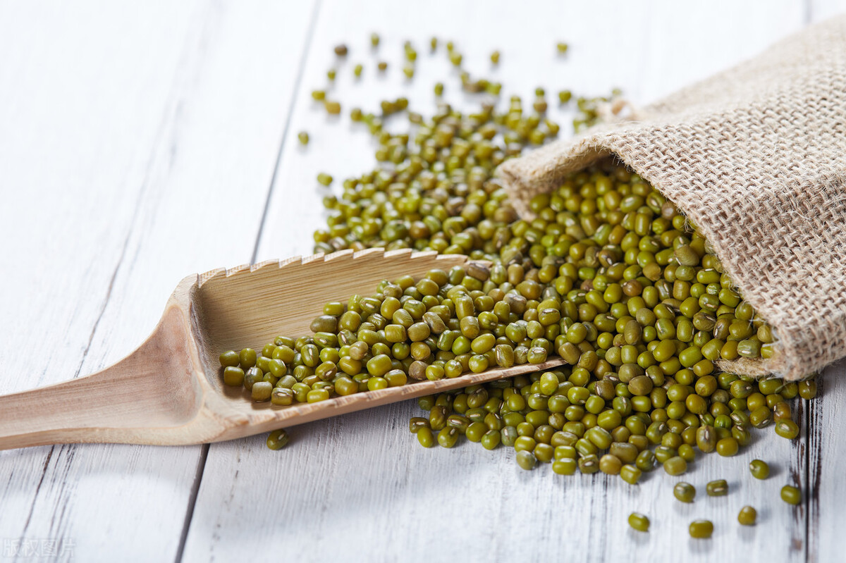 When buying mung beans, should you choose the wrinkled or smooth one ...