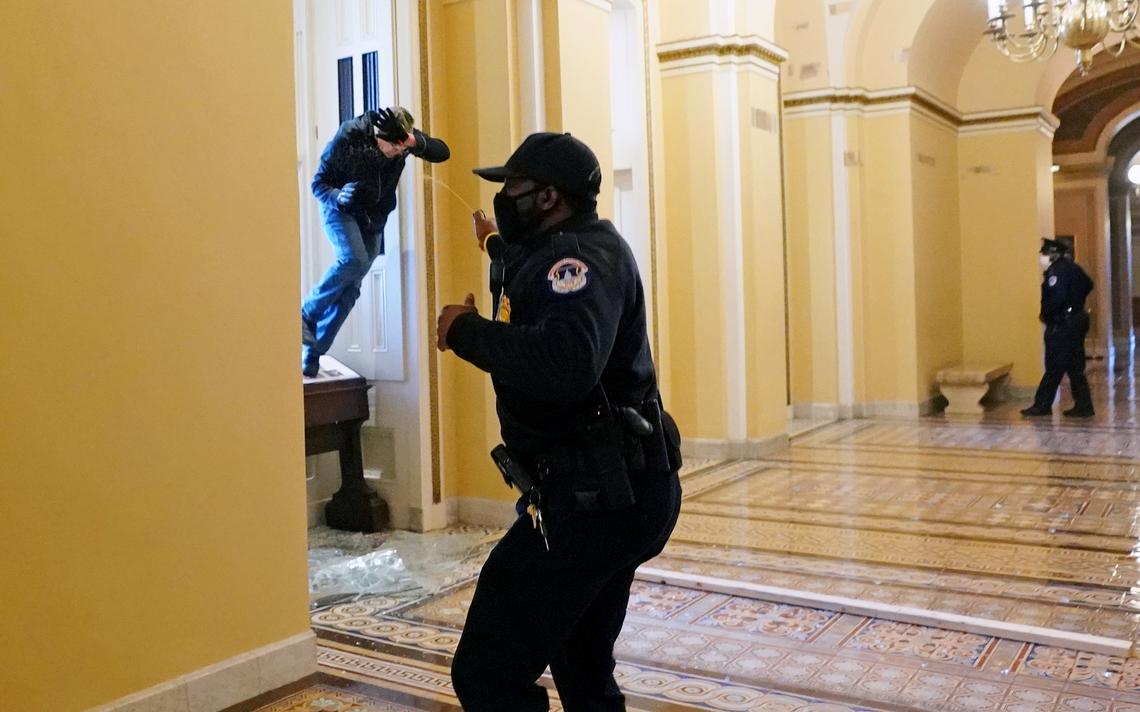 特朗普粉慌了，FBI開始大搜捕，動用面部識別，上推特找自拍照