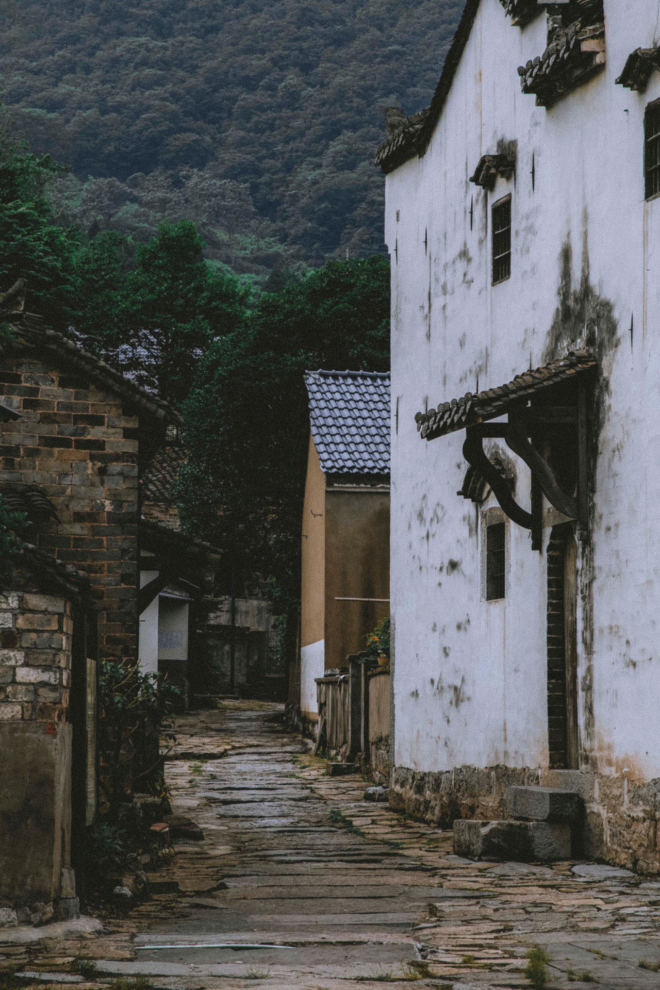 铜陵有一处古朴的村落，村中灰墙黑瓦，大多数是典型的徽派民居