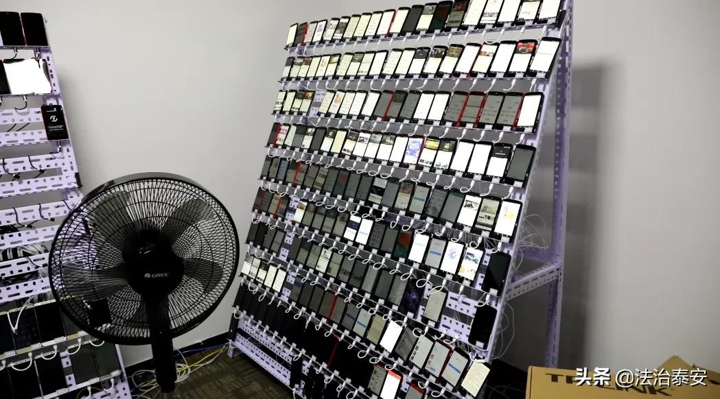 最高检发布11个典型案例 泰安一案例入选！