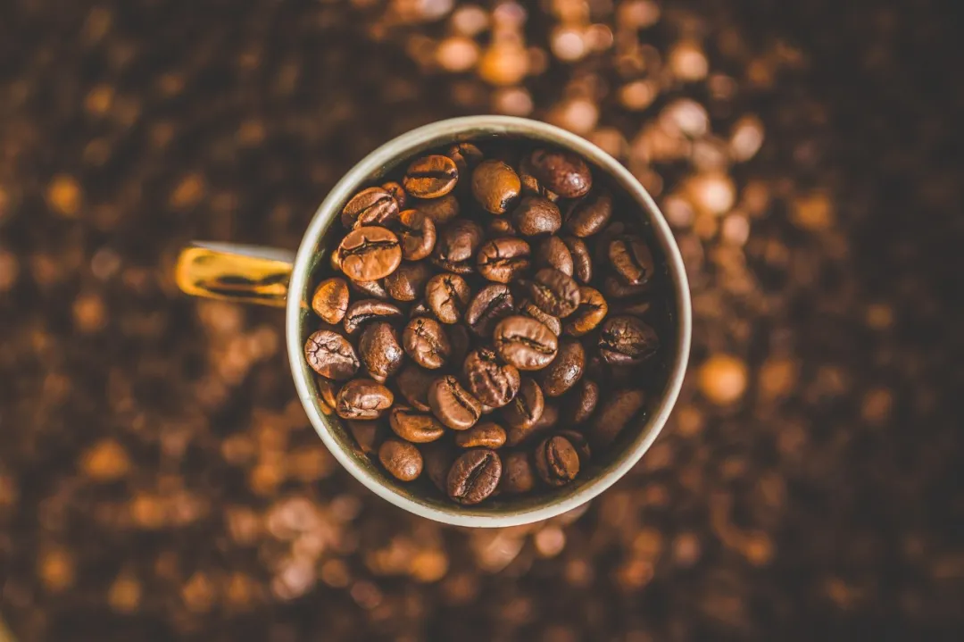 Manner Coffee,激战之中懂进退
