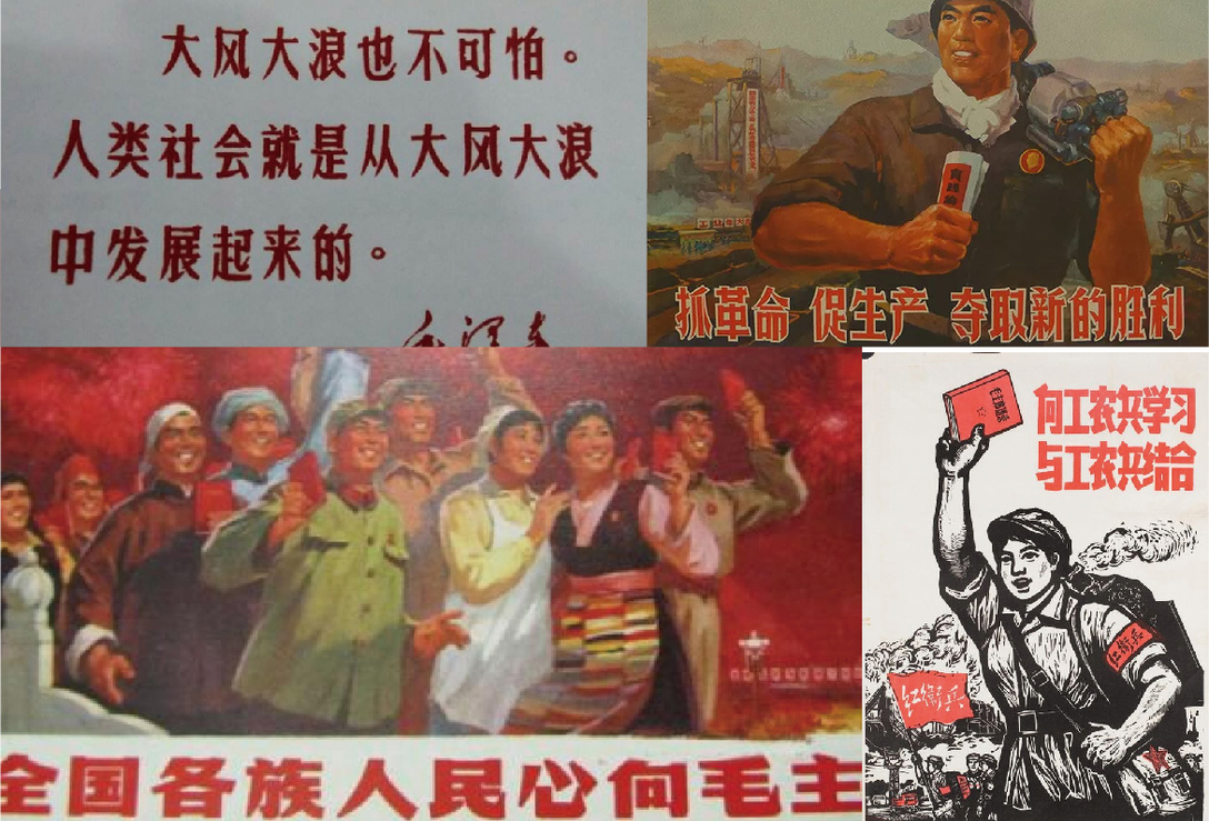 到处都是东北大米，新晋国货大米品牌设计够吸睛