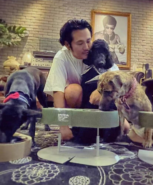 知名歌手曹格被自家狗咬伤，地板上全是血渍，爱犬腿部残疾脾气差