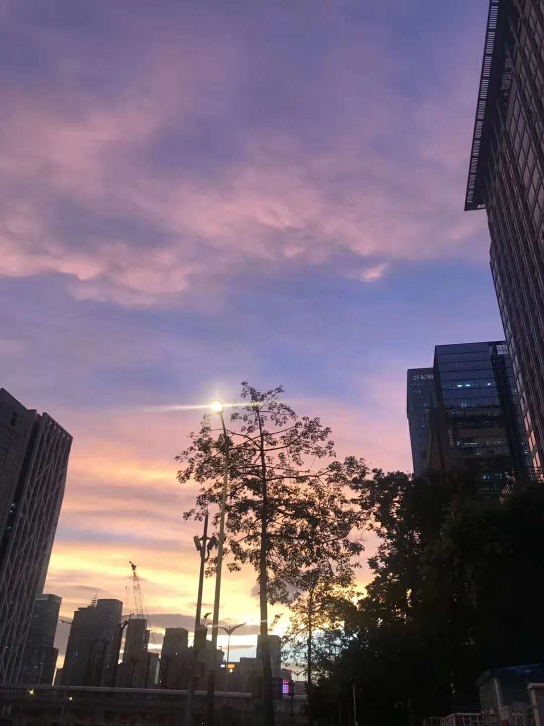 The afterglow of Shenzhen has much beauty after all