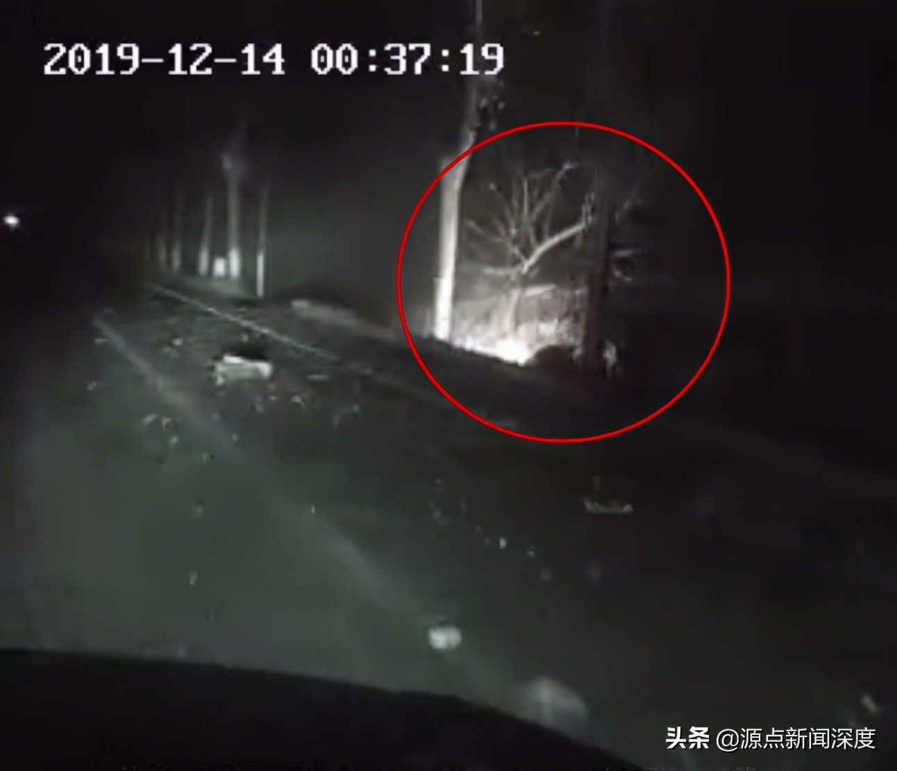 山东一司机发生车祸起火一死一伤，判担全责被