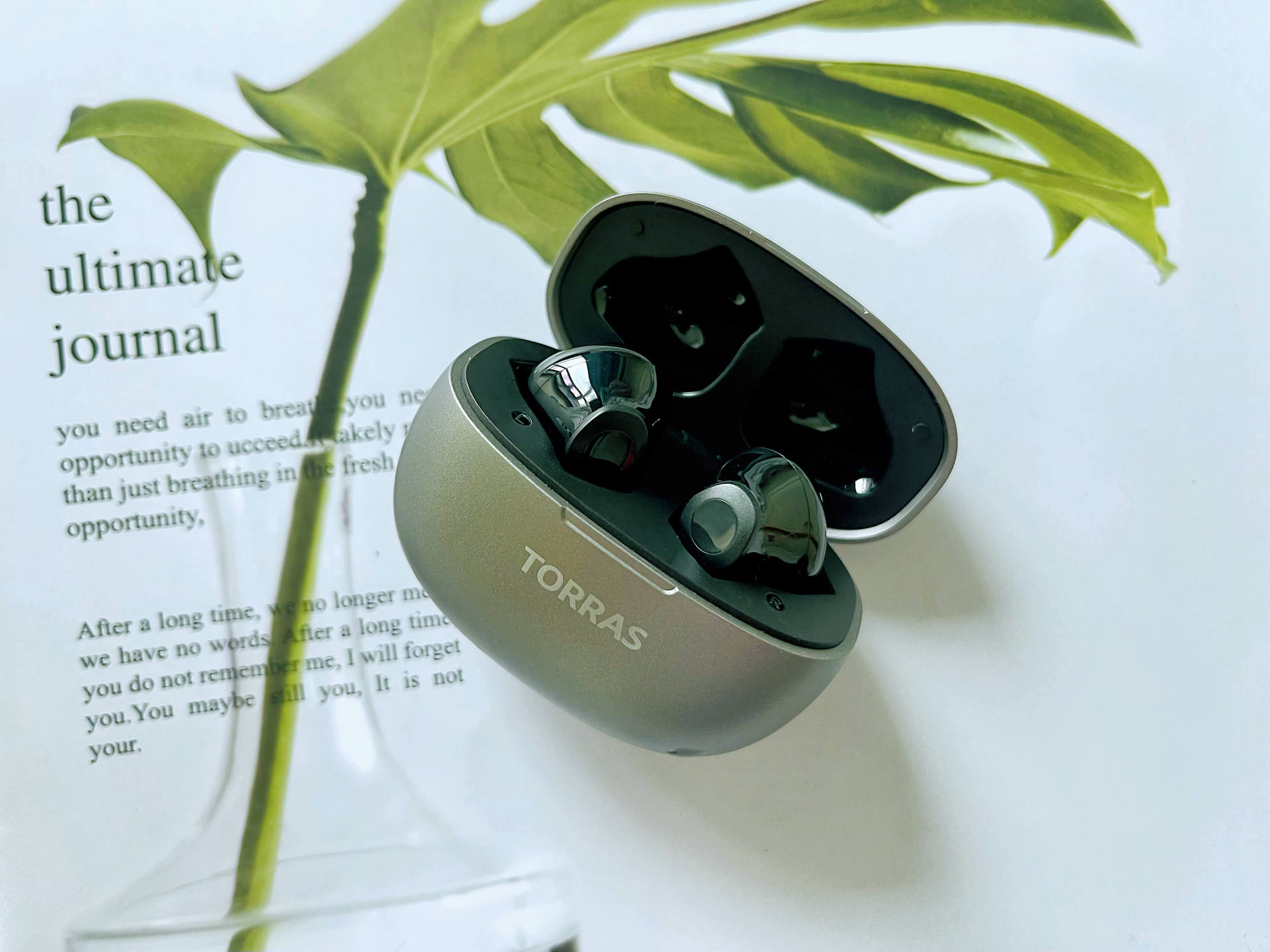 Bionic Whale Cavity Stereo Bluetooth Headset, Turas True Wireless ...