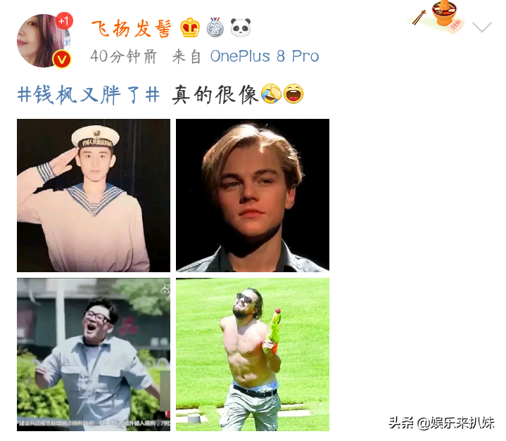 疫情时钱枫除了家里种菜，还背着我们干了这件