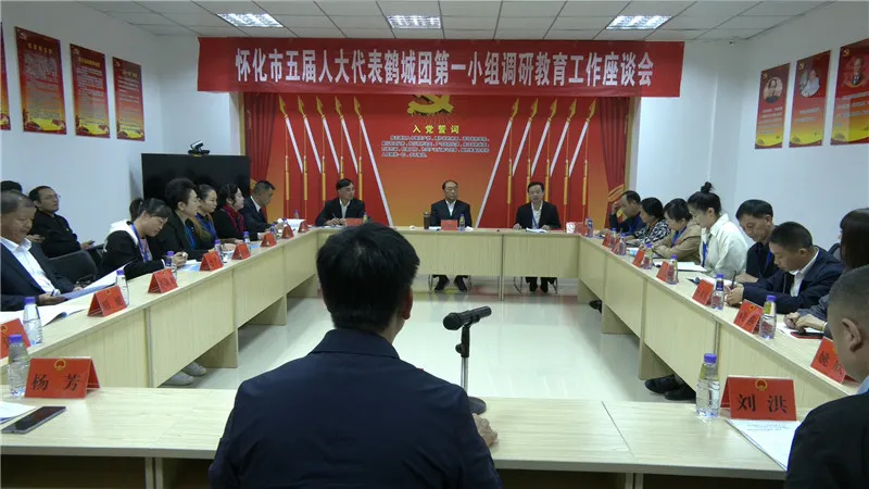 张扬平在鹤城参加市人大代表小组活动