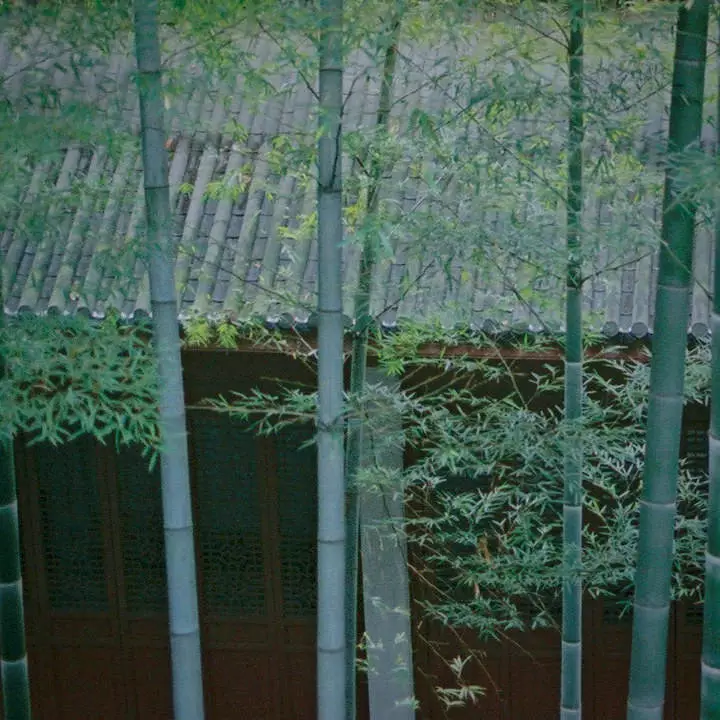 民宿设计：院子里的中国色，美过千年