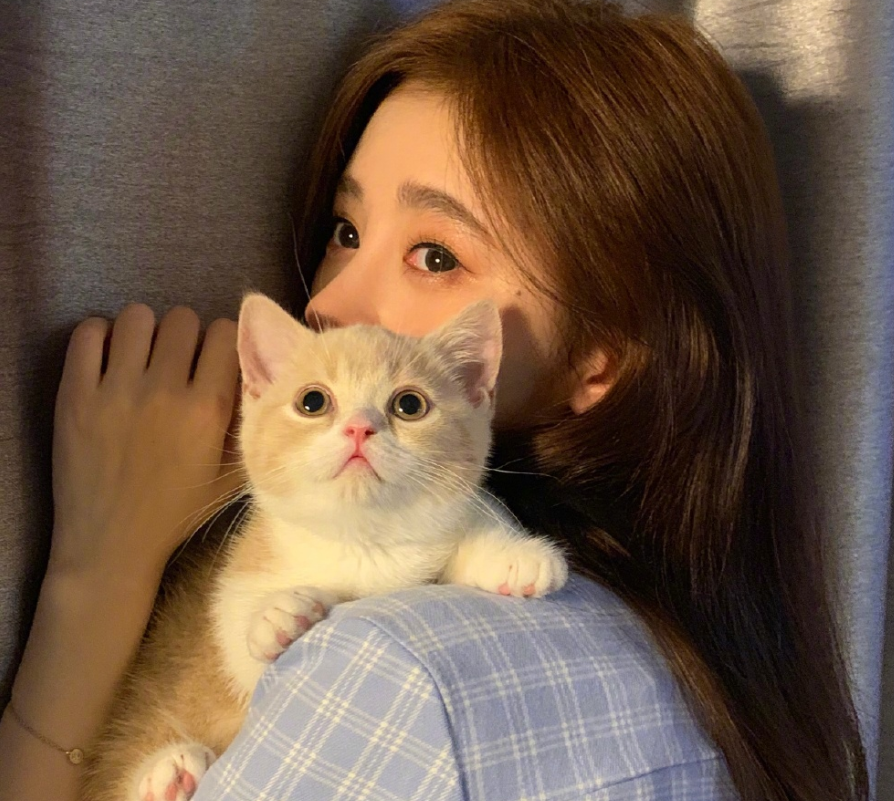 鞠婧祎不理恶评，晒撸猫照介绍新成员，我却只