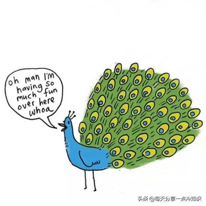 麻雀是动物界的贝爷-第4张图片-大千世界
