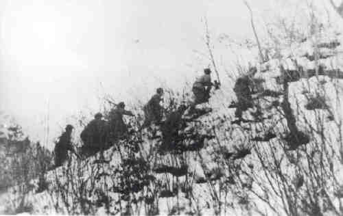 毛主席万里调兵围歼美军王牌，志愿军卧雪死战长津湖，结果如何？