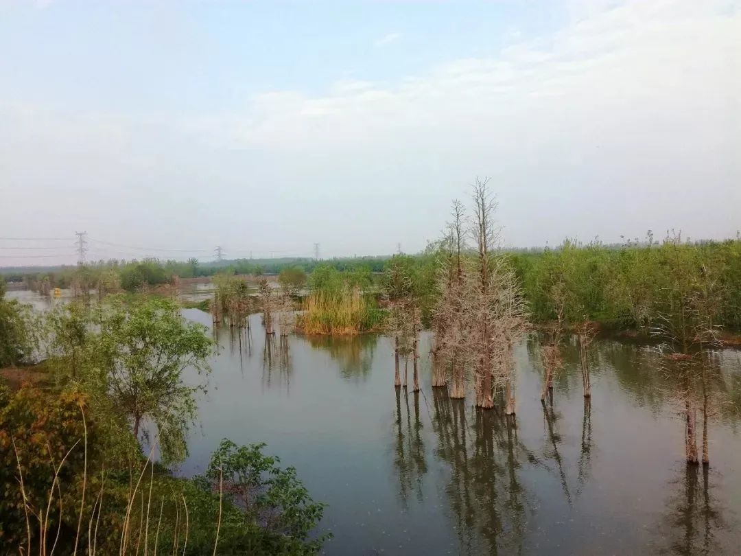 湖北重启，最值得去的地方瞧妹帮大家找到了