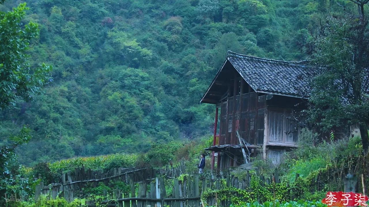 网红逆袭推广大使，李子柒的成功有迹可寻