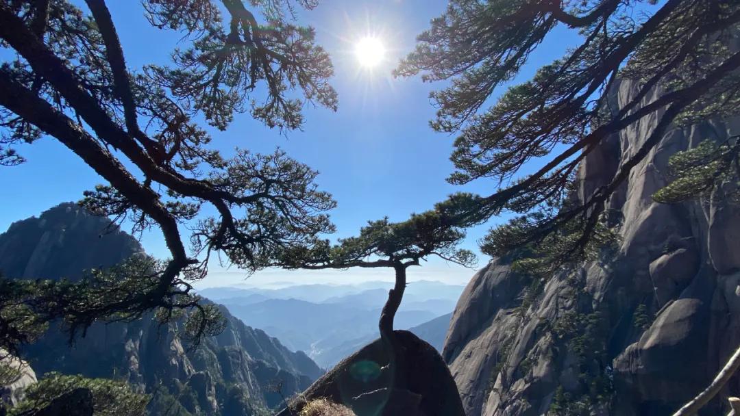 东学团建（上海校篇）|天気がいいから、登山しましょう