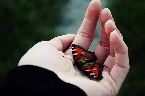 关于理解的优美句子摘抄大全 懂得理解对方的句子图片