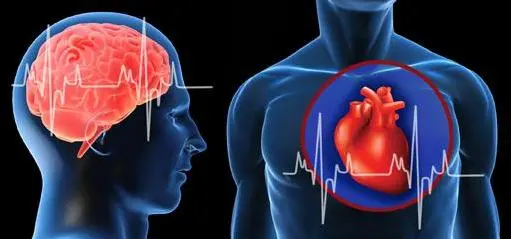 夏季如何预防心脑血管疾病的发生？