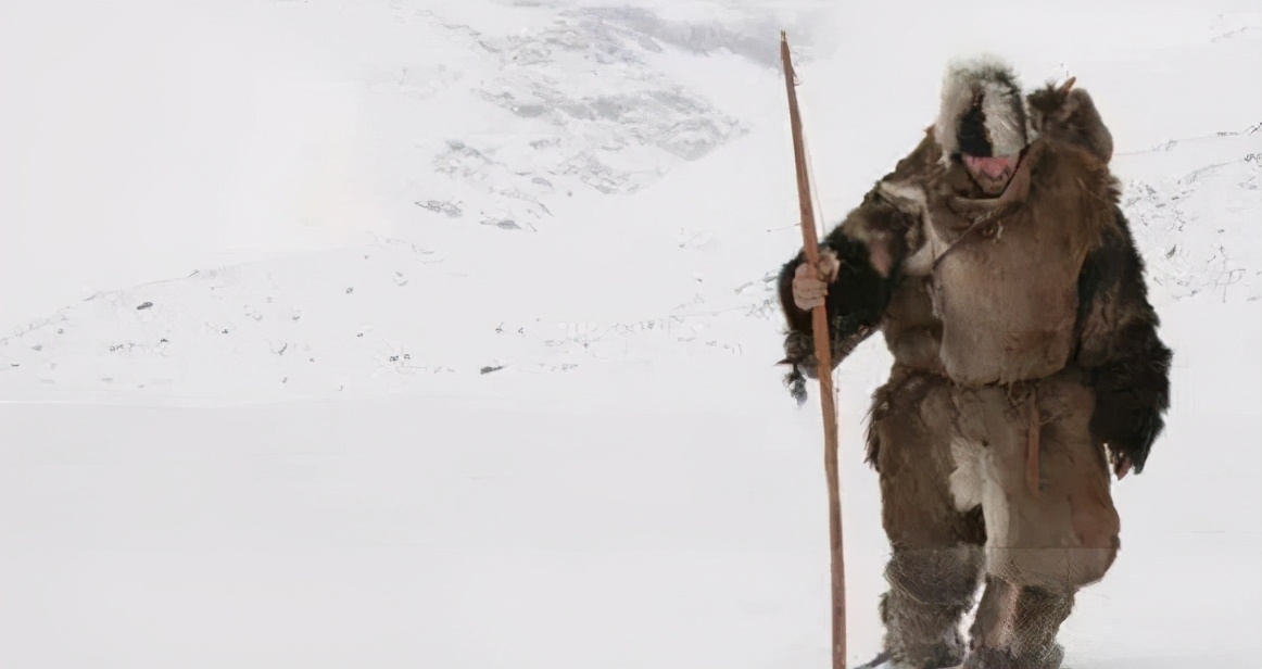为什么携带白桦茸？探寻5000年前登山者“冰人奥茨”的秘密