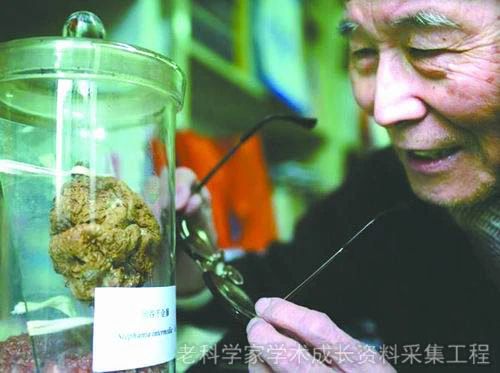 药理学研究接力者金国章：揭开中药延胡索镇痛奥秘