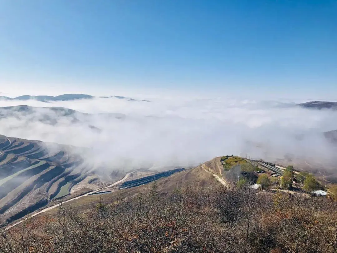 宁夏旅游的精华全藏在这些地方！曾经的荒凉之地，如今美若仙境