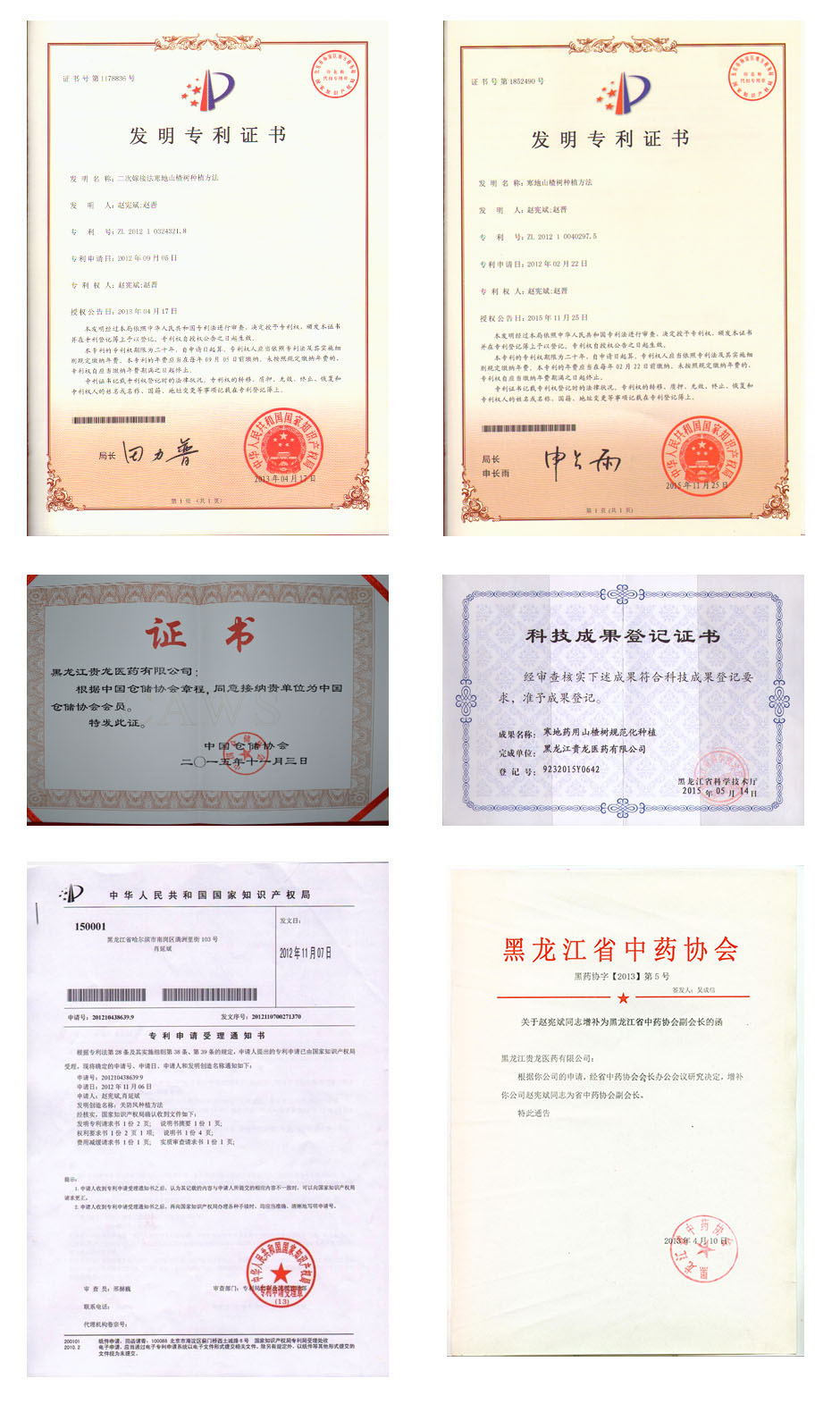 黑龙江贵龙医药有限公司董事长赵宪斌