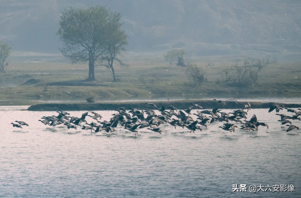 6 how: Heavy snow flies violently greet New Year, the Xue Jingtai in cameraman camera lens is beautiful