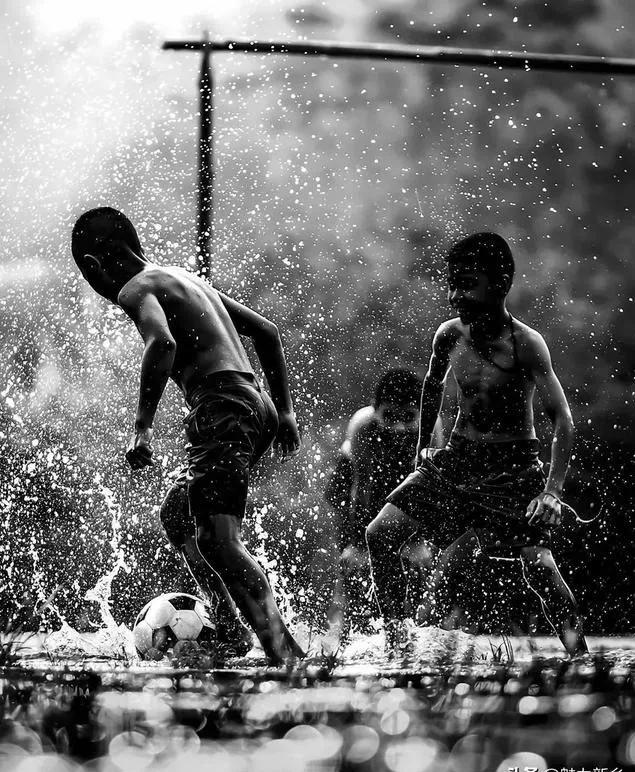 Photography appreciation: a pure world - iMedia