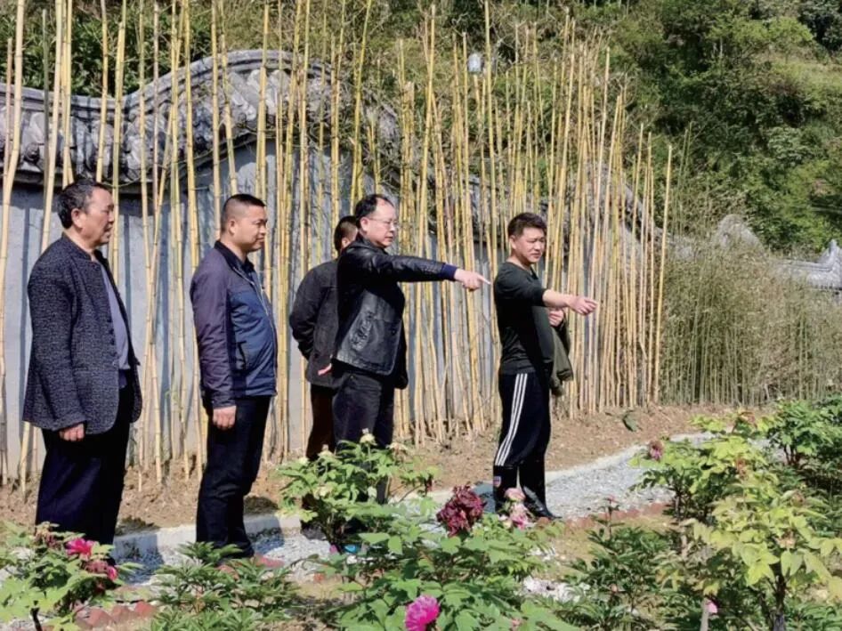 奋力推进人大工作阔步向前——洪江市人大常委会2020年工作纪实