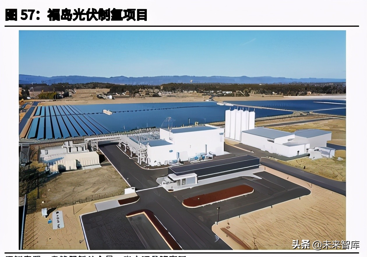 日本降碳之路主题研究报告：资源约束型国家如何选择碳中和？
