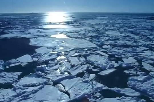 全球變暖！假如溫度上升6攝氏度 人類將會從地球上消失