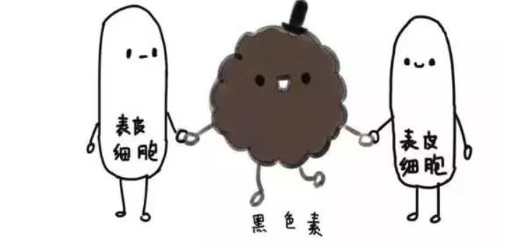 为什么你就是白不起来？这份“高效美白”攻略，学会了想不白都难