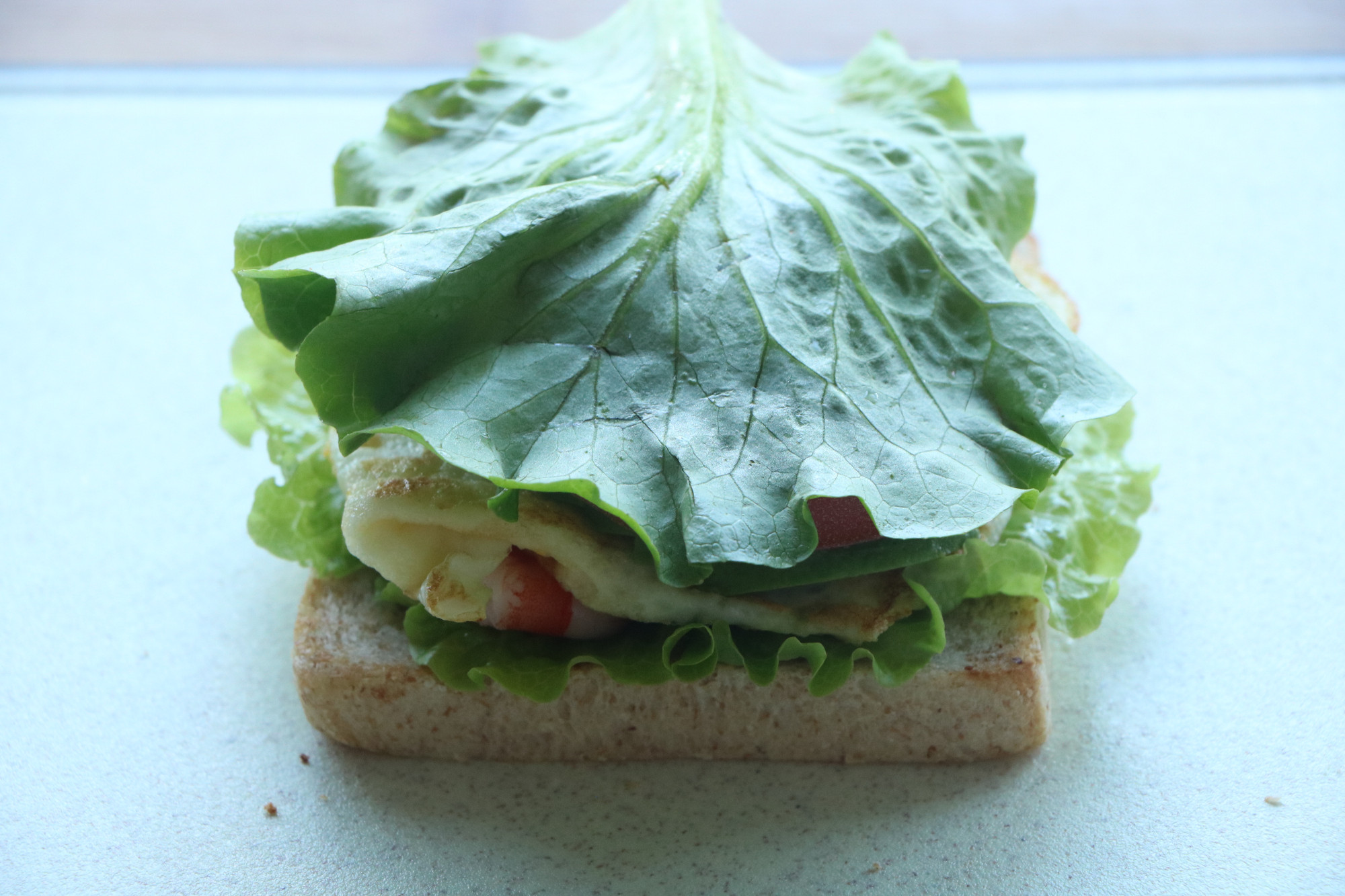 必吃的3款高蛋白三明治，低油低糖，原汁原味，超健康，別錯過哦