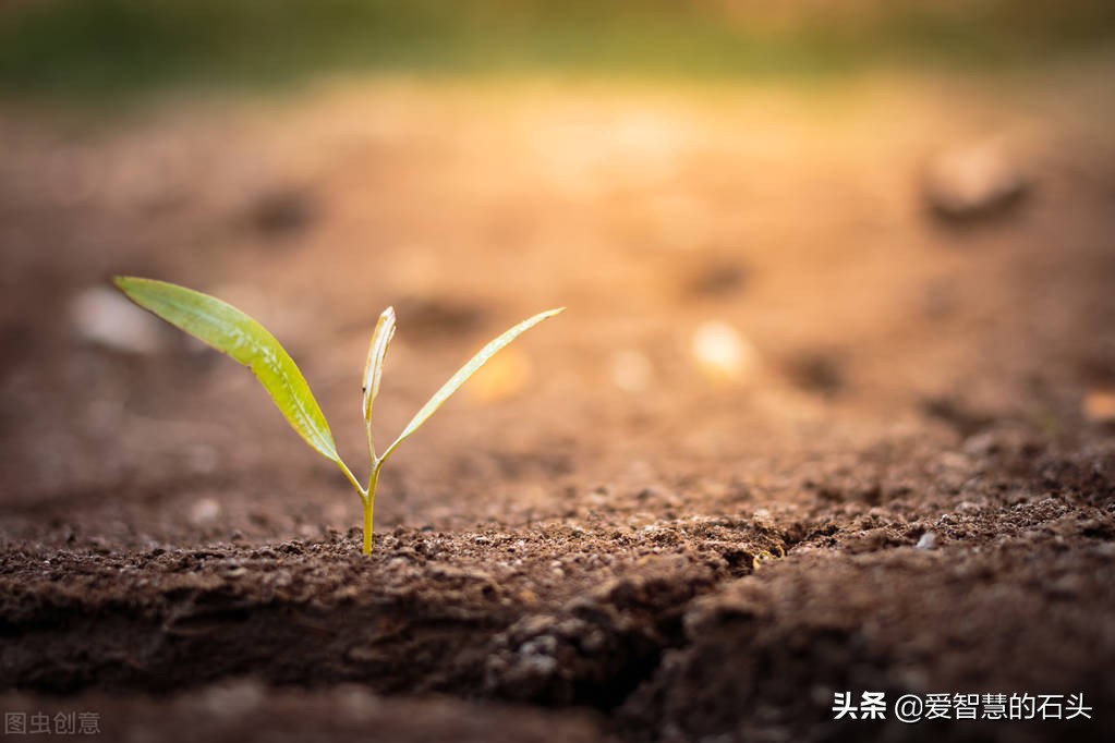 你的“業餘時間”裡，藏著你的未來