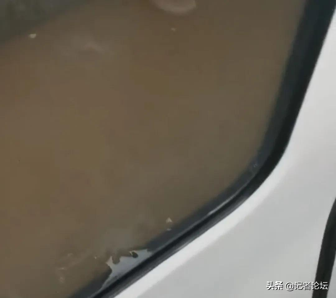 央视白岩松评郑州暴雨：苦难不会直接让人进步，总结教训才可以