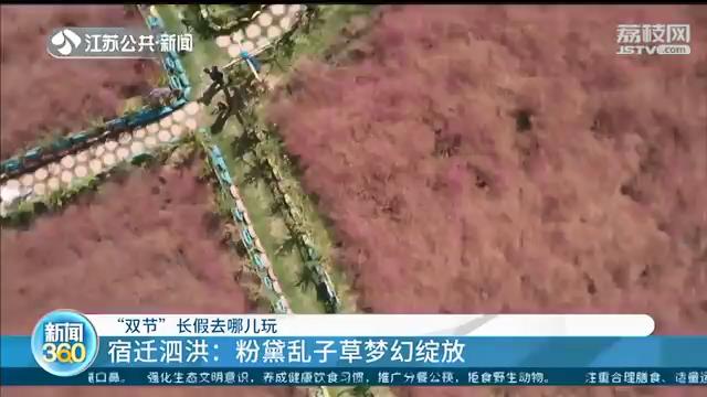 「“双节”长假去哪儿玩」花船巡游、品美食、赏美景…在江苏，总有一款适合你