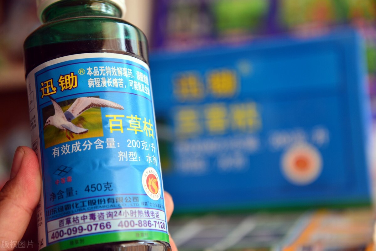 百草枯——被人喝到禁售的产品，让它的发明者都深有负罪感
