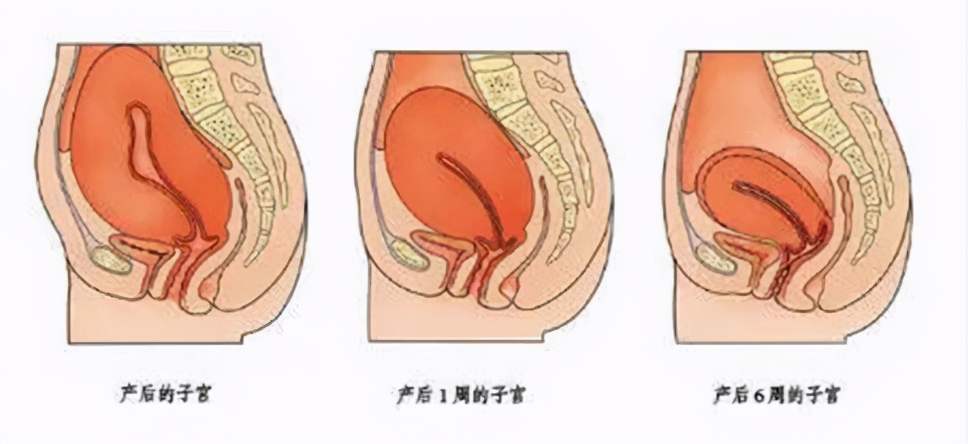 刘璇产后被嘲：肚子像是还有一个，网友：这才
