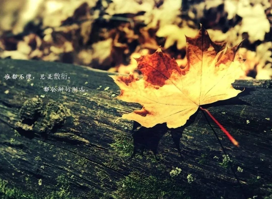 钱能看清一个人的语录，钱能看清一个人的说说