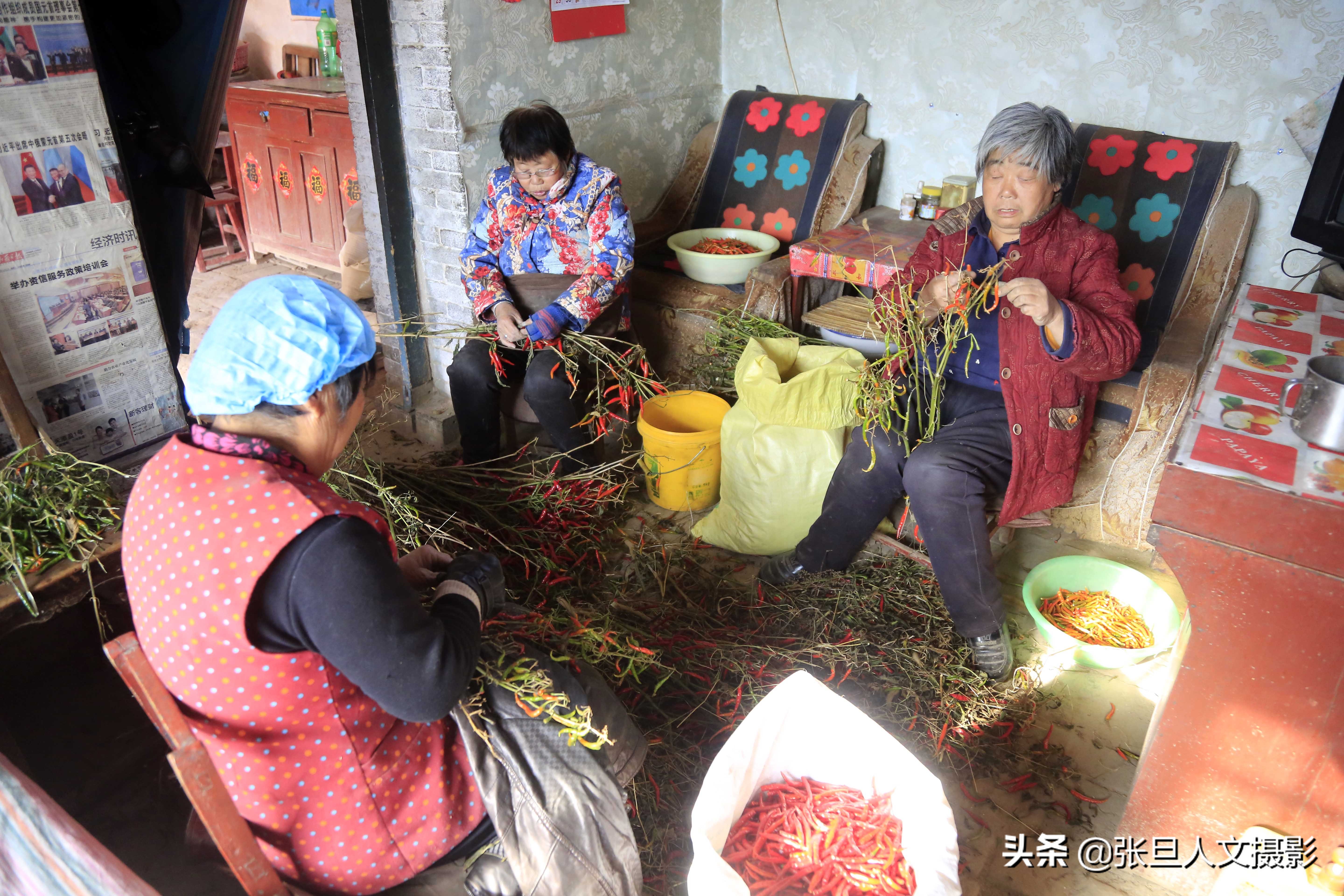 70岁老人住窑洞种辣椒 过着简朴的生活 空降兵的身份值得尊重