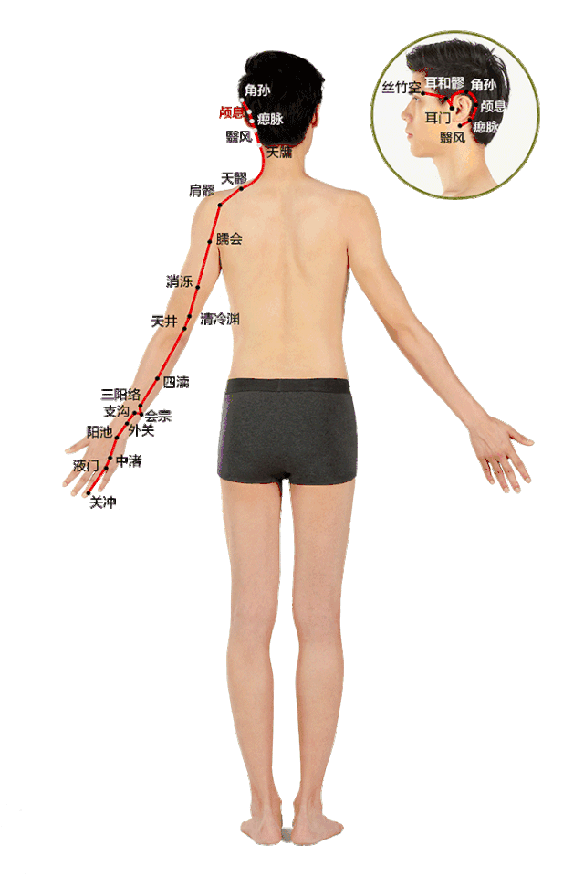 十二经络 | 手少阳三焦经